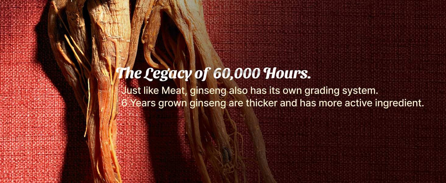 Ginseng